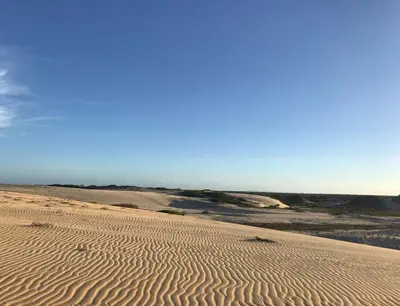 A planta de La casita Verde