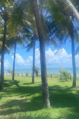 Paisagem natural perto do apartamento