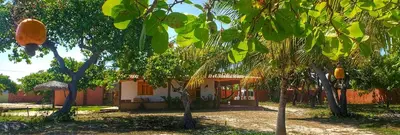 Um jardim no exterior de Sítio SPA Céu De Verdade , Praia de Barra Nova , Ceará
