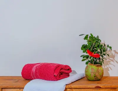 A planta de Éden do Catu