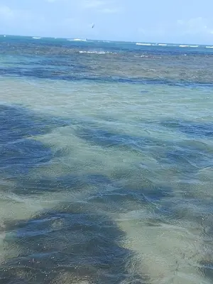 Paisagem natural perto da casa de férias