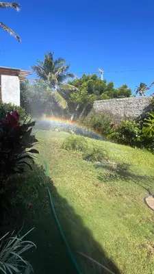 Um jardim no exterior de Casa Tijolinho - Barro Pret0, Aquiraz
