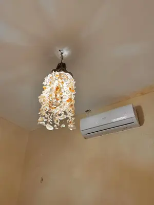 A planta de Palmeira’s du Vento