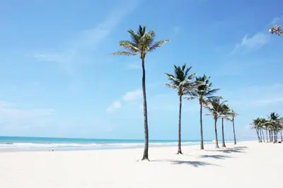 Paisagem natural perto da casa de férias
