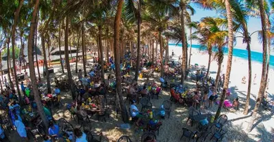 Os clientes hospedados em Happy Living Resort
