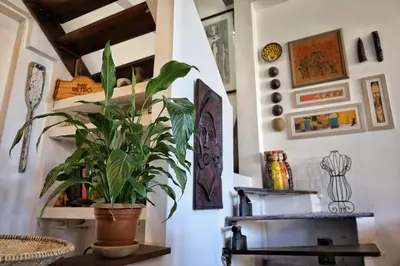 A planta de CASA IRACEMAR