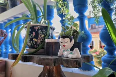A planta de CASA IRACEMAR