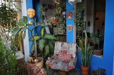 Um jardim no exterior de CASA IRACEMAR