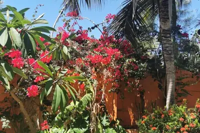 Um jardim no exterior de Beautiful house 5 minutes on foot to centre, Wi-Fi, parking, kitchen