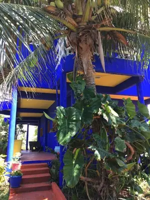 Um jardim no exterior de Mermaid House, kitchen, Wi-Fi, parking, centre 5 minutes on foot and near Sunset Dune