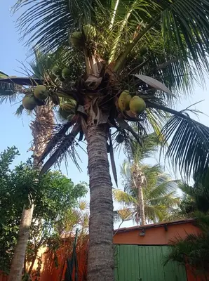 A planta de Mermaid House, kitchen, Wi-Fi, parking, centre 5 minutes on foot and near Sunset Dune