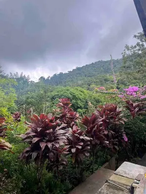 Paisagem natural perto da casa de férias