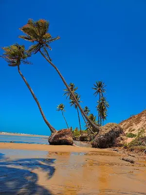 Paisagem natural perto do hotel
