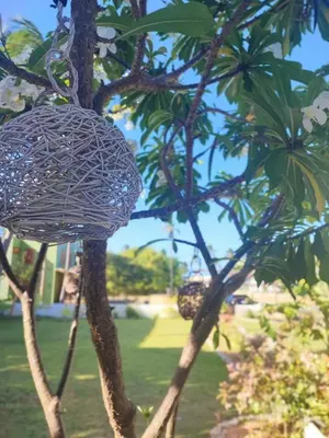 Um jardim no exterior de Casas Oceanicas
