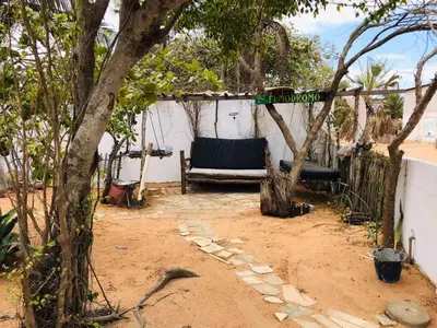 Um jardim no exterior de Hostel Jericoacoariano