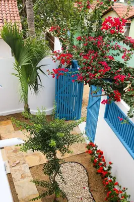 Um jardim no exterior de Vila Marinella