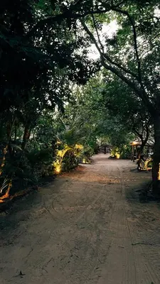 Paisagem natural perto do bed and breakfast