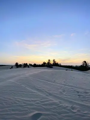 Paisagem natural perto do apartamento