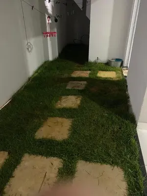 Um jardim no exterior de Casa de férias mg