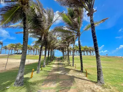 Paisagem natural perto da casa de férias