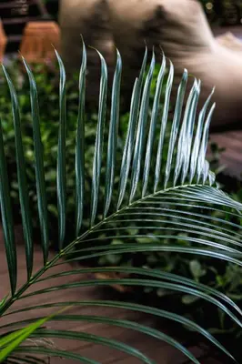 Um jardim no exterior de Vila Torém