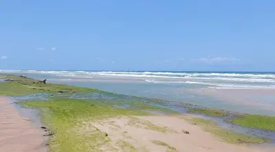 Paisagem natural perto da casa de férias