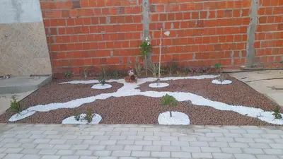 A planta de Espaço Analu