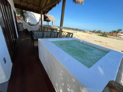 A planta de Jurema Branca Villa