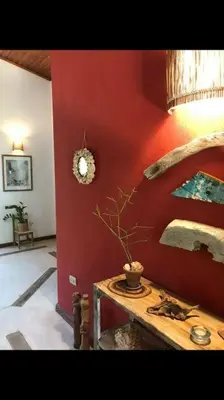 A planta de Dellacasa