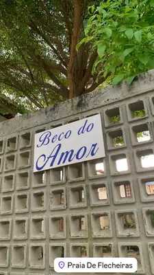 A planta de Chalé do beco,flecheiras