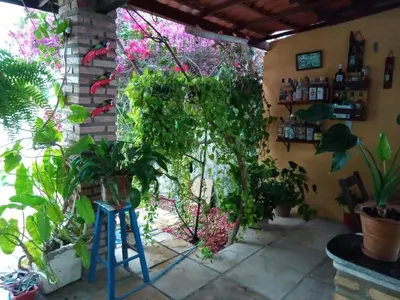 Um jardim no exterior de Casa Laranja
