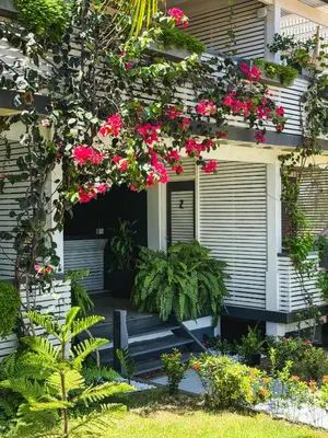 Um jardim no exterior de CHICO DINA POUSADA