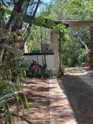 Um jardim no exterior de Capitólio 05 Hospedagem Canoa Quebrada