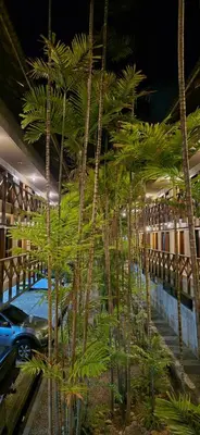 Um jardim no exterior de Go Eco Paradise Ap210 Pé na Areia e Piscina no Centro do Cumbuco