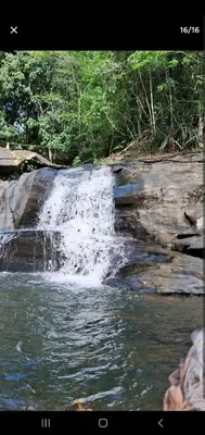 Paisagem natural perto do apartamento