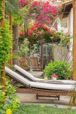 Um jardim no exterior de Pousada Villa Tomasi