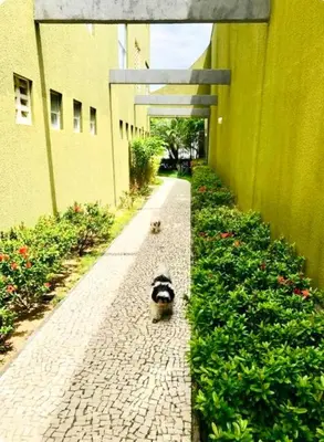 Um jardim no exterior de Apartamento com piscina no hooftop, 48m2 - Praia da Iracema- Fortaleza