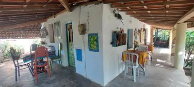 A planta de Chalé na serra da Meruoca