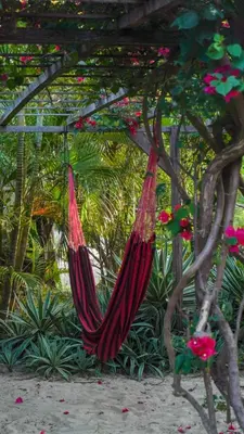 Um jardim no exterior de Guajiru kite-safari