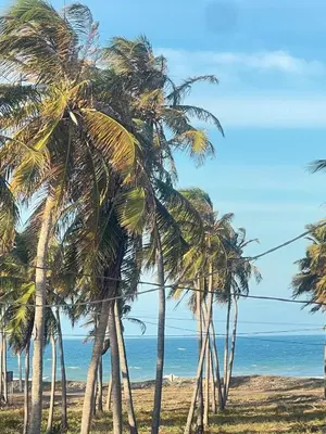 Paisagem natural perto da casa de férias