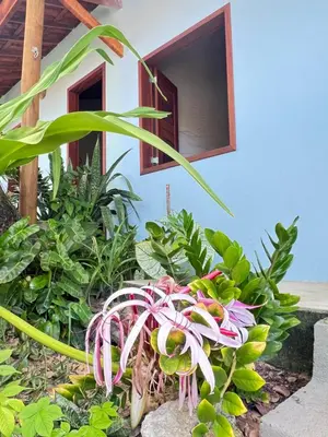 Um jardim no exterior de Recanto do cajueiro