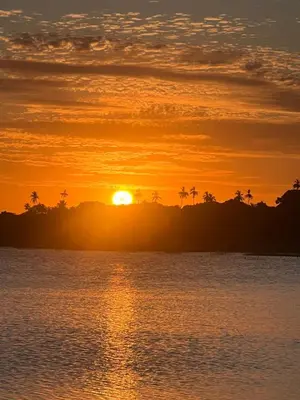 Paisagem natural perto da casa de férias