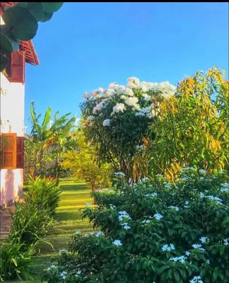 Um jardim no exterior de Vila Ybirá