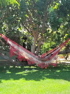 Um jardim no exterior de Vila Ybirá