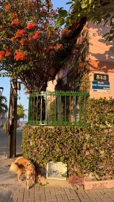 A vizinhança circundante ou próxima do apartamento