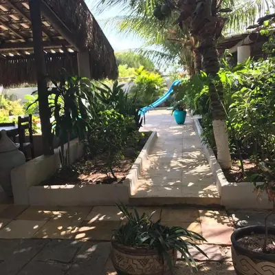 Um jardim no exterior de Casa Cauipe Cumbuco
