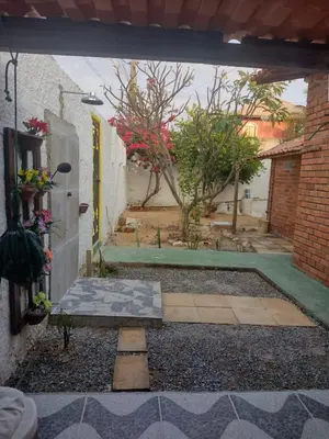 A planta de gowindbrasil