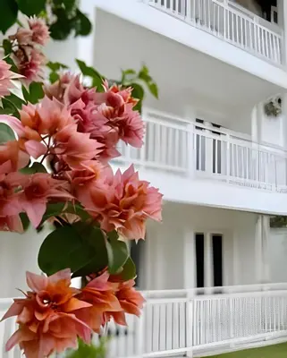Uma varanda ou terraço em Bouganville Apartments