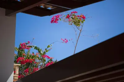 A planta de Casa encantadora com Vista Mar na Caponga