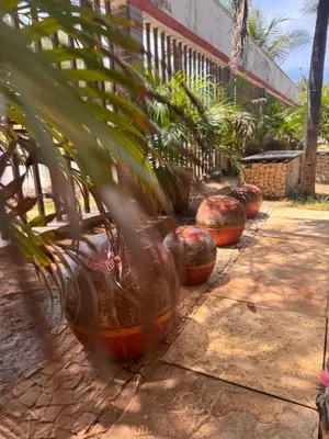 Um jardim no exterior de Porto Praia Hotel